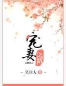 宠妻之路
